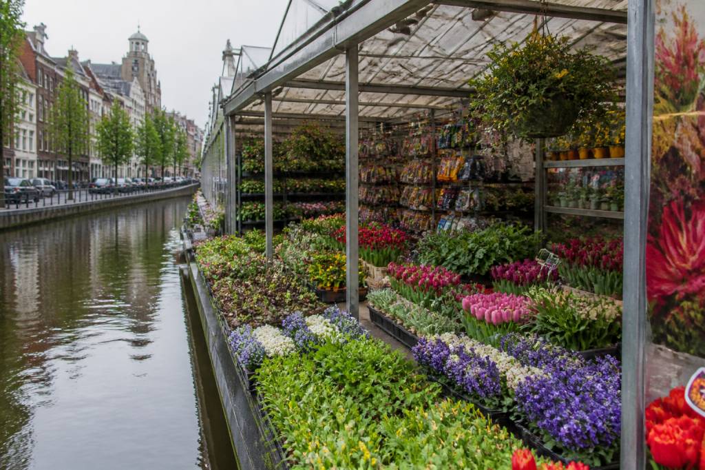 Marché aux fleurs flottant à Amsterdam : guide complet pour le visiter