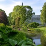 Botanicus hortus à Amsterdam : visite, histoire et conseils pratiques