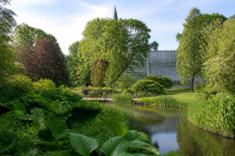 Botanicus hortus à Amsterdam : visite, histoire et conseils pratiques
