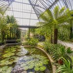 Jardin botanique Amsterdam : guide complet pour découvrir Hortus Botanicus