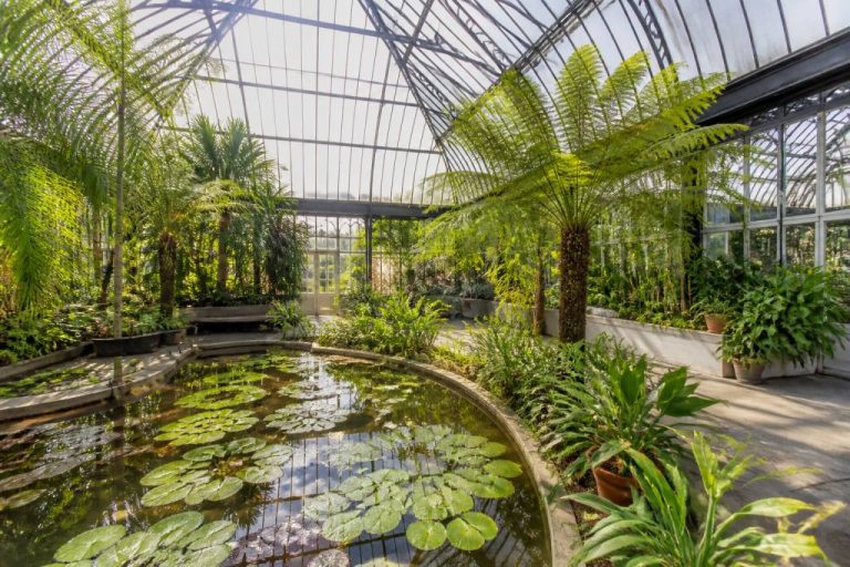 Jardin botanique Amsterdam : guide complet pour découvrir Hortus Botanicus