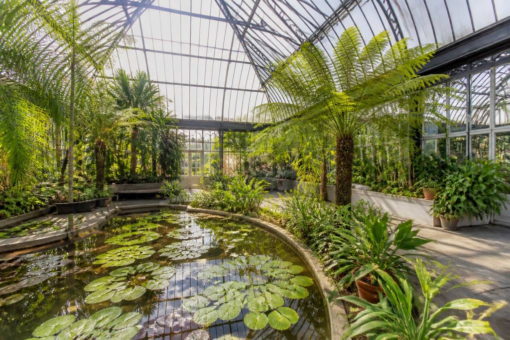 Jardin botanique Amsterdam : guide complet pour découvrir Hortus Botanicus