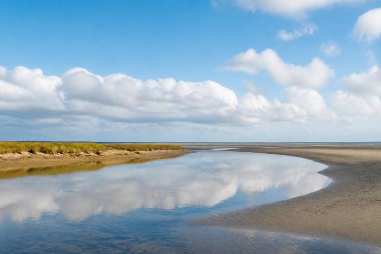 Itinéraire baie de Somme : les incontournables à découvrir en quelques jours