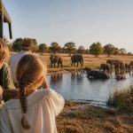 Safari au botswana avec des enfants : guide pratique